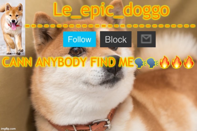 epic doggo's temp back in old fashion | CANN ANYBODY FIND ME🗣️🗣️🔥🔥🔥 | image tagged in epic doggo's temp back in old fashion | made w/ Imgflip meme maker
