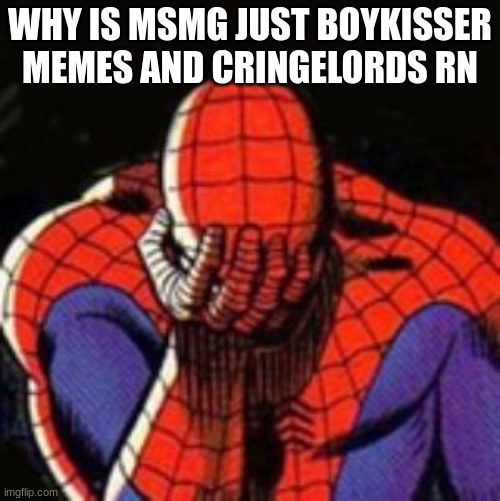 Sad Spiderman | WHY IS MSMG JUST BOYKISSER MEMES AND CRINGELORDS RN | image tagged in memes,sad spiderman,spiderman | made w/ Imgflip meme maker