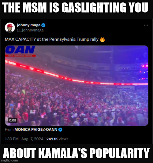 MSM is lying about Kamala's popularity | THE MSM IS GASLIGHTING YOU; ABOUT KAMALA'S POPULARITY | image tagged in gaslighting,msm | made w/ Imgflip meme maker