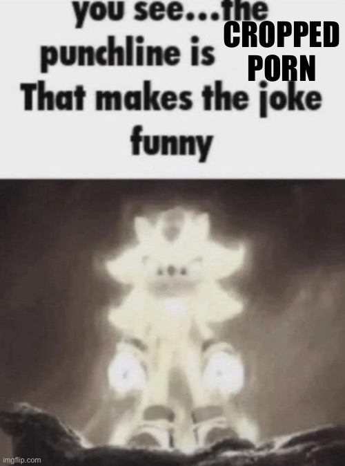 You see the punchline is that makes the joke funny shadow | CROPPED PORN | image tagged in you see the punchline is that makes the joke funny shadow | made w/ Imgflip meme maker