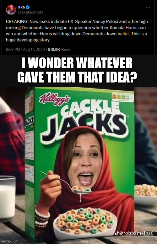 Time for Cackles to go too | I WONDER WHATEVER GAVE THEM THAT IDEA? | image tagged in cackles,has to go too,pelosi,working on it | made w/ Imgflip meme maker