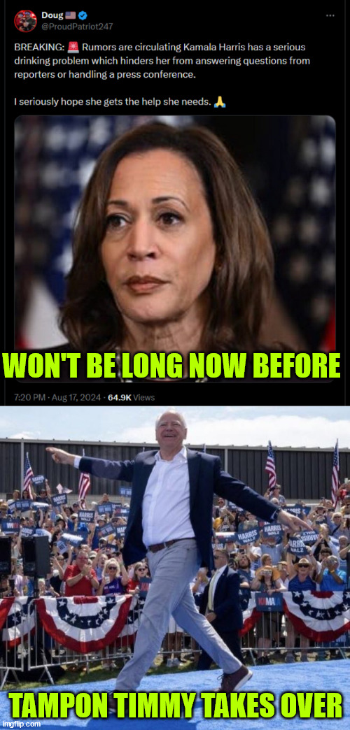 Next... | WON'T BE LONG NOW BEFORE; TAMPON TIMMY TAKES OVER | image tagged in kamala harris,on the way out,tampon timmy,on the way in | made w/ Imgflip meme maker