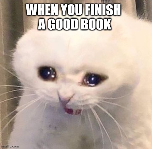 sad cat | WHEN YOU FINISH 
A GOOD BOOK | image tagged in sad cat | made w/ Imgflip meme maker