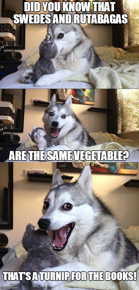 Vegetable-related humour... | DID YOU KNOW THAT SWEDES AND RUTABAGAS ARE THE SAME VEGETABLE? THAT'S A TURNIP FOR THE BOOKS! | image tagged in memes,bad pun dog,vegetables,turnip,rutabaga,swede | made w/ Imgflip meme maker