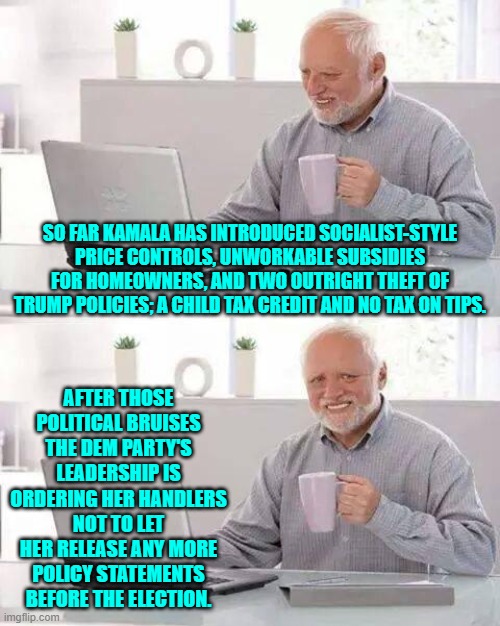 Well . . . they KNOW her father is a Marxist, and so what the hell did they THINK she would do? | SO FAR KAMALA HAS INTRODUCED SOCIALIST-STYLE PRICE CONTROLS, UNWORKABLE SUBSIDIES FOR HOMEOWNERS, AND TWO OUTRIGHT THEFT OF TRUMP POLICIES; A CHILD TAX CREDIT AND NO TAX ON TIPS. AFTER THOSE POLITICAL BRUISES THE DEM PARTY'S LEADERSHIP IS ORDERING HER HANDLERS NOT TO LET HER RELEASE ANY MORE POLICY STATEMENTS BEFORE THE ELECTION. | image tagged in hide the pain harold | made w/ Imgflip meme maker