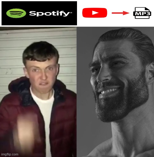 Spotify vs Youtube to mp3 | image tagged in average fan vs average enjoyer,spotify,gigachad,youtube | made w/ Imgflip meme maker