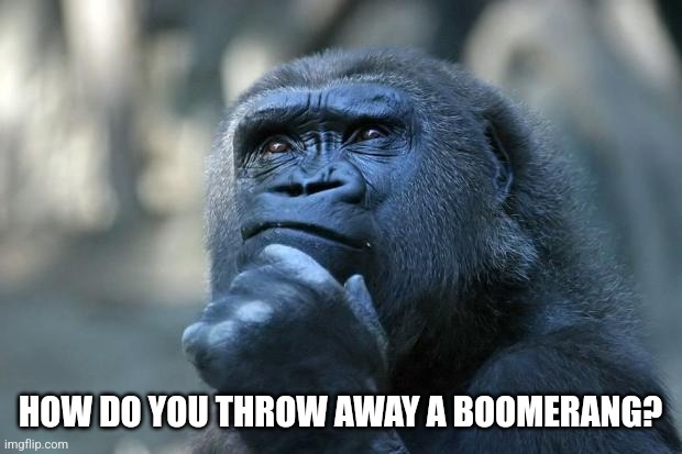 Boomerang | HOW DO YOU THROW AWAY A BOOMERANG? | image tagged in deep thoughts | made w/ Imgflip meme maker