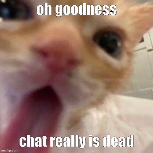 bleh | oh goodness; chat really is dead | image tagged in bleh | made w/ Imgflip meme maker