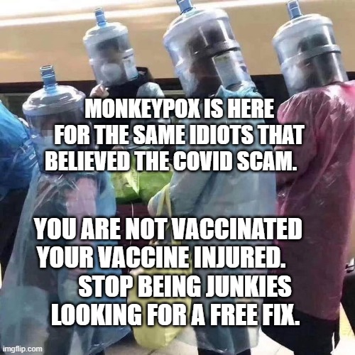 Pandemic response | MONKEYPOX IS HERE FOR THE SAME IDIOTS THAT BELIEVED THE COVID SCAM. YOU ARE NOT VACCINATED YOUR VACCINE INJURED.           STOP BEING JUNKIES      LOOKING FOR A FREE FIX. | image tagged in pandemic response | made w/ Imgflip meme maker