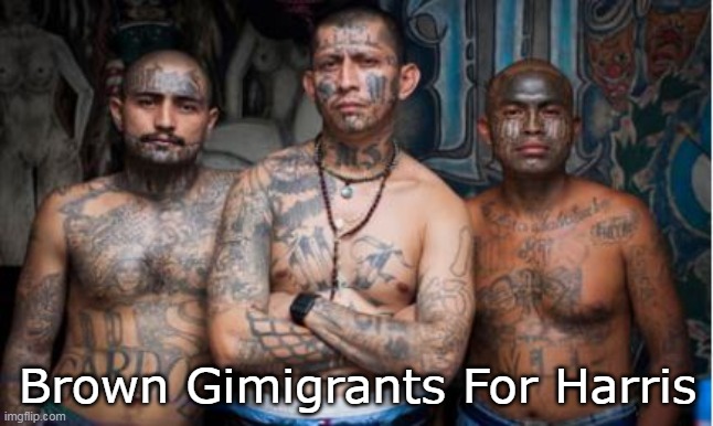 Augmenting the  Swifties lost | Brown Gimigrants For Harris | image tagged in gimigrants for harris meme | made w/ Imgflip meme maker