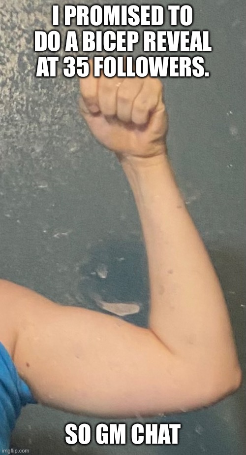 Yeah… I promised… | I PROMISED TO DO A BICEP REVEAL AT 35 FOLLOWERS. SO GM CHAT | made w/ Imgflip meme maker