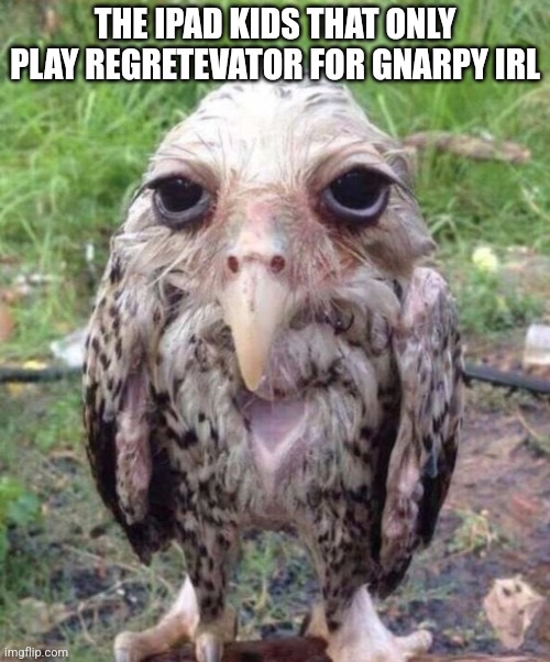 Split or Folly are my favorite regretevator NPC and my brother is one of these kids | THE IPAD KIDS THAT ONLY PLAY REGRETEVATOR FOR GNARPY IRL | image tagged in wet owl | made w/ Imgflip meme maker