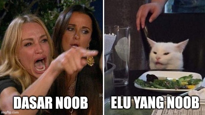 Angry lady cat | DASAR NOOB; ELU YANG NOOB | image tagged in angry lady cat | made w/ Imgflip meme maker