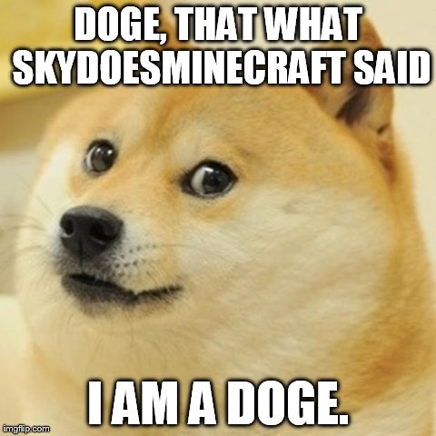 Doge Meme | DOGE, THAT WHAT SKYDOESMINECRAFT SAID I AM A DOGE. | image tagged in memes,doge | made w/ Imgflip meme maker