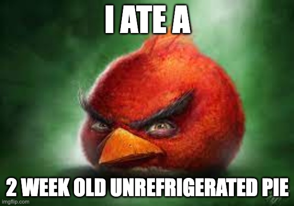 Realistic Red Angry Birds | I ATE A; 2 WEEK OLD UNREFRIGERATED PIE | image tagged in realistic red angry birds,memes,funny,dumb ways to die,angry birds,oh wow are you actually reading these tags | made w/ Imgflip meme maker