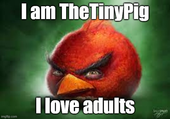 Realistic Red Angry Birds | I am TheTinyPig; I love adults | image tagged in realistic red angry birds | made w/ Imgflip meme maker