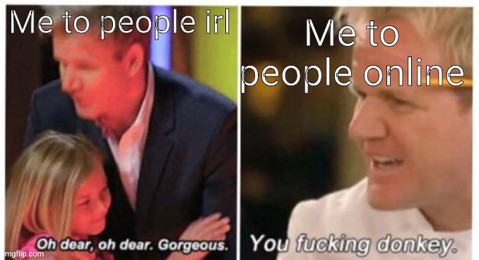 you fucking donkey | Me to people irl; Me to people online | image tagged in you fucking donkey | made w/ Imgflip meme maker