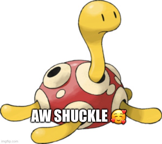 shuckle | AW SHUCKLE ? | image tagged in shuckle | made w/ Imgflip meme maker