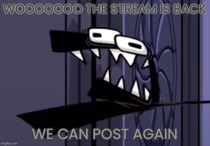 the f | WOOOOOOO THE STREAM IS BACK; WE CAN POST AGAIN | image tagged in the f | made w/ Imgflip meme maker