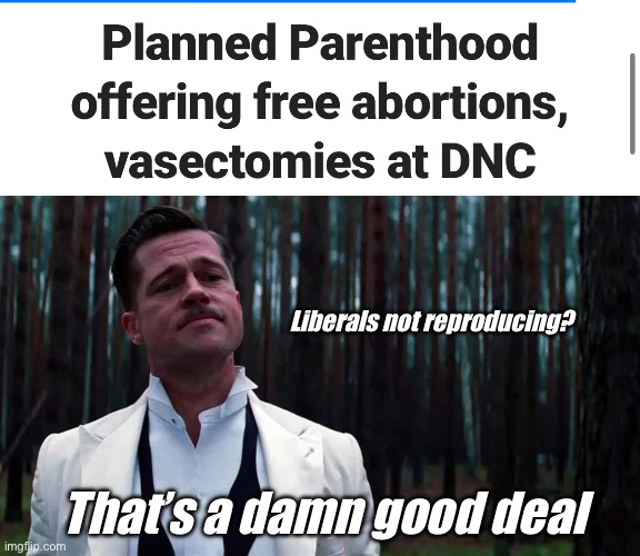 A cult lining up to kill babies and cut their nuts to celebrate an unelected candidate is weird | Liberals not reproducing? That’s a damn good deal | image tagged in inglorious basterds brad pitt we dont like that | made w/ Imgflip meme maker