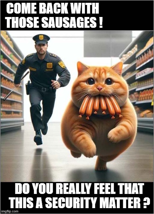 Free Food ! | COME BACK WITH 
THOSE SAUSAGES ! DO YOU REALLY FEEL THAT THIS A SECURITY MATTER ? | image tagged in cats,sauages,stealing | made w/ Imgflip meme maker