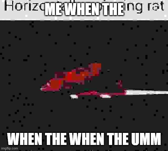 Rat | ME WHEN THE; WHEN THE WHEN THE UMM | image tagged in deep fried horizontally spinning rat,shitpost,deep fried,when the | made w/ Imgflip meme maker