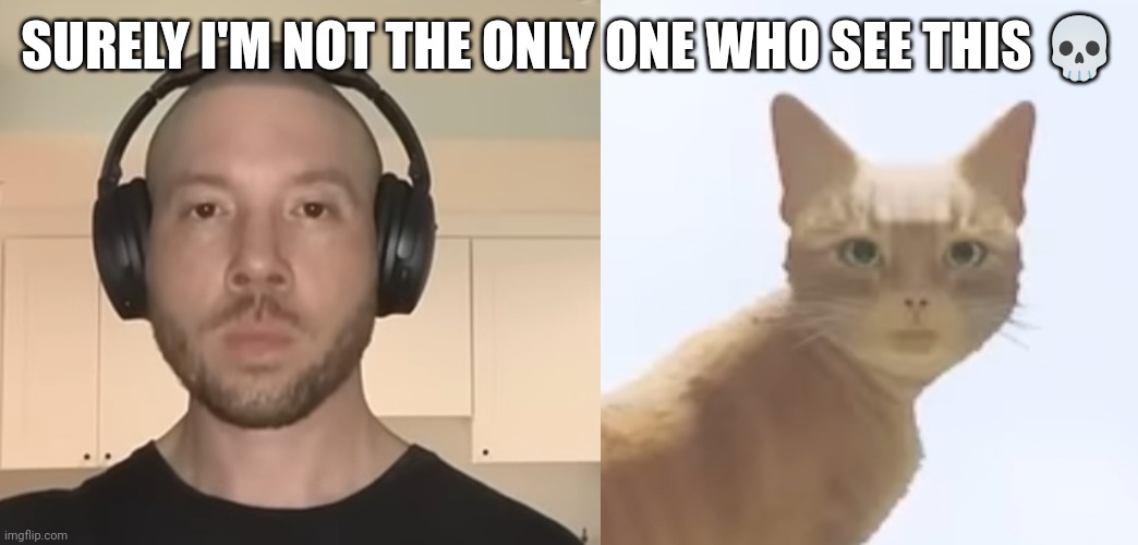 Stray cat | SURELY I'M NOT THE ONLY ONE WHO SEE THIS 💀 | image tagged in memes,comparison | made w/ Imgflip meme maker