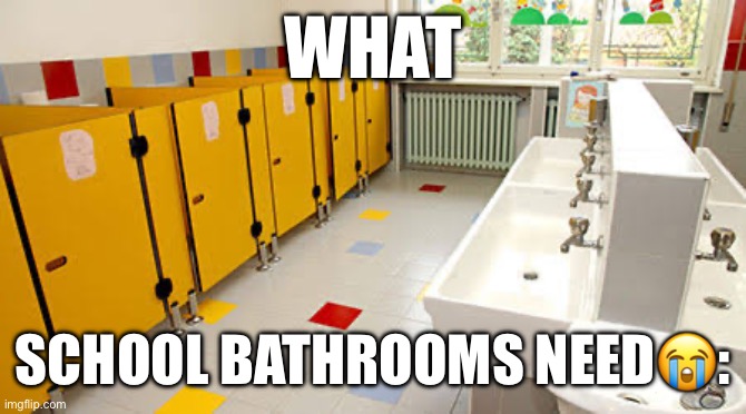 What school needs | WHAT; SCHOOL BATHROOMS NEED😭: | image tagged in bathrooms,school,smelly,noflush | made w/ Imgflip meme maker