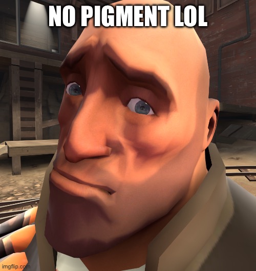 no anime? | NO PIGMENT LOL | image tagged in no anime | made w/ Imgflip meme maker