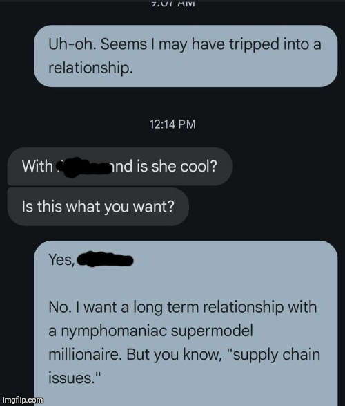 Supply Chain Issues | image tagged in text | made w/ Imgflip meme maker