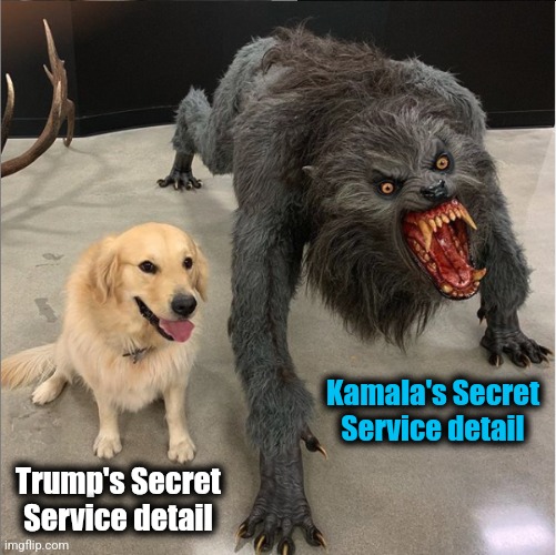 dog vs werewolf | Trump's Secret
Service detail Kamala's Secret
Service detail | image tagged in dog vs werewolf | made w/ Imgflip meme maker