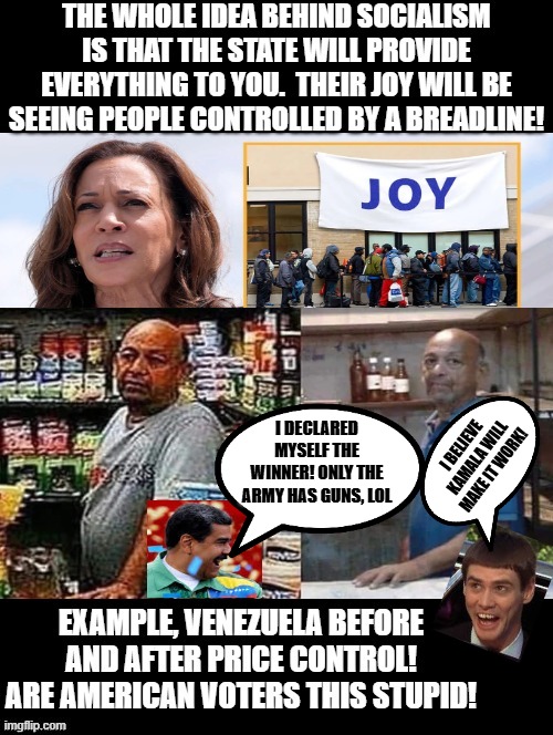 Dumb and Dumber voters believing this will work if done right this time! | I BELIEVE KAMALA WILL MAKE IT WORK! I DECLARED MYSELF THE WINNER! ONLY THE ARMY HAS GUNS, LOL | image tagged in i'm the dumbest man alive,dumb and dumber | made w/ Imgflip meme maker