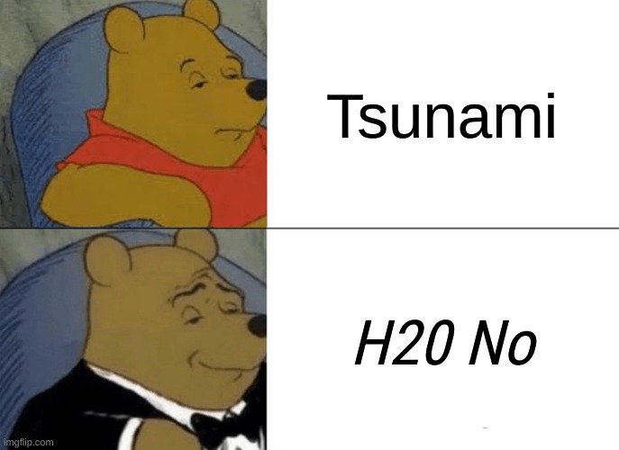 I hope you find this meme punny! | Tsunami; H20 No | image tagged in memes,tuxedo winnie the pooh | made w/ Imgflip meme maker