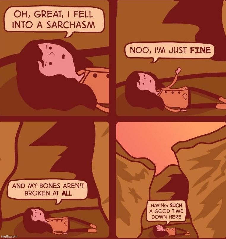 Sarcasm | image tagged in comics/cartoons | made w/ Imgflip meme maker