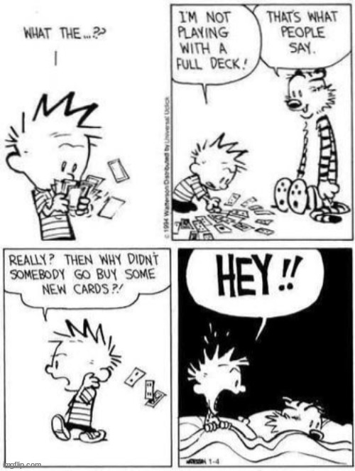 Hobbes insults Calvin | image tagged in comics/cartoons | made w/ Imgflip meme maker