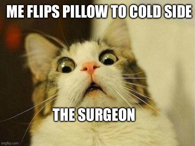 Scared Cat Meme | ME FLIPS PILLOW TO COLD SIDE; THE SURGEON | image tagged in memes,scared cat | made w/ Imgflip meme maker