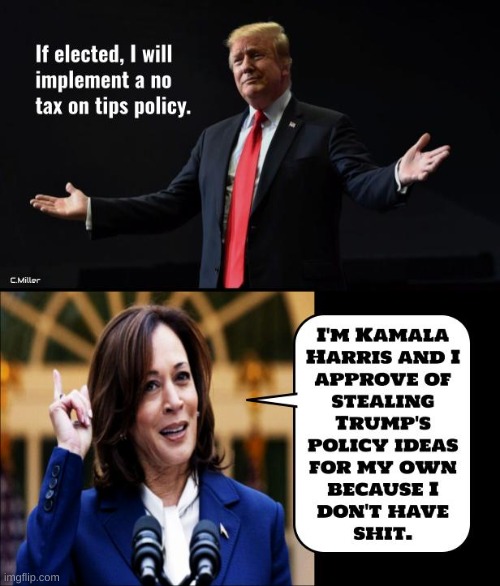 image tagged in donald j trump,kamala harris,election 2024,politics,political | made w/ Imgflip meme maker