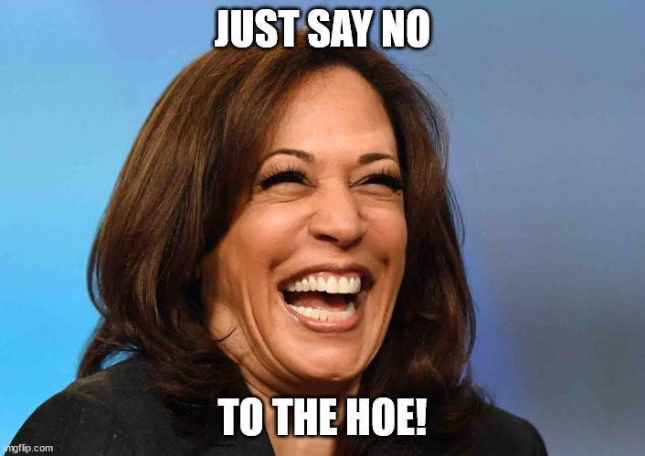 Just say no | JUST SAY NO; TO THE HOE! | image tagged in kamala harris,slut,joe biden | made w/ Imgflip meme maker