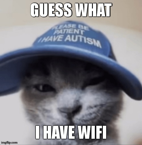 cat autism | GUESS WHAT; I HAVE WIFI | image tagged in cat autism | made w/ Imgflip meme maker