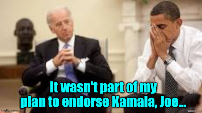 Obama and Biden | It wasn't part of my plan to endorse Kamala, Joe... | image tagged in obama and biden | made w/ Imgflip meme maker