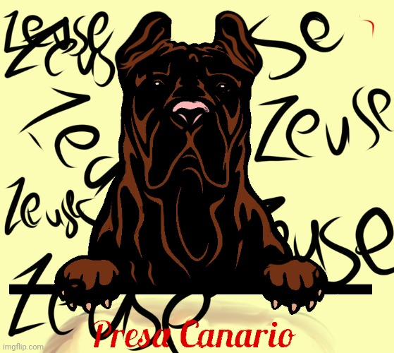 drawing of my one of my doggos | image tagged in pressa canario,doggo,digital art | made w/ Imgflip meme maker