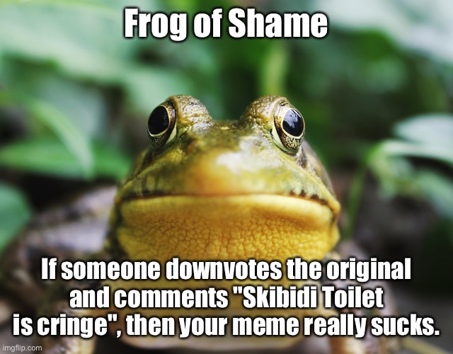 Frog of Shame | Frog of Shame If someone downvotes the original and comments "Skibidi Toilet is cringe", then your meme really sucks. | image tagged in frog of shame | made w/ Imgflip meme maker