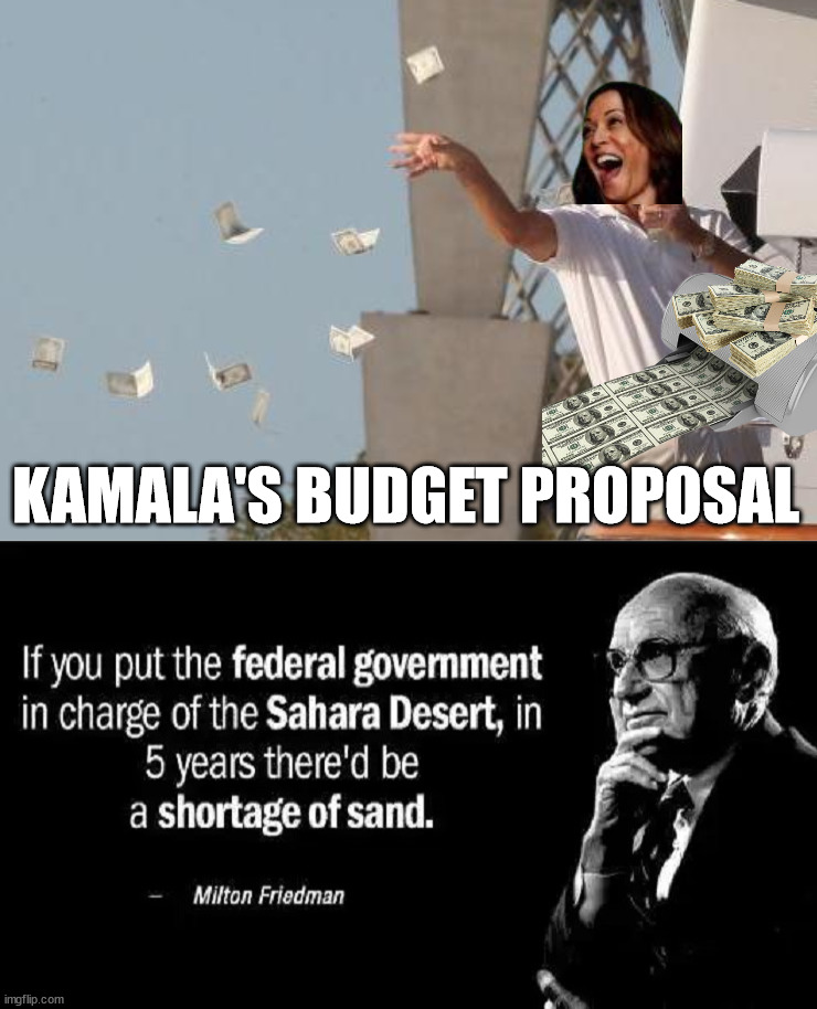 Just printing money out of thin air | KAMALA'S BUDGET PROPOSAL | image tagged in leonardo dicaprio throwing money,budget | made w/ Imgflip meme maker