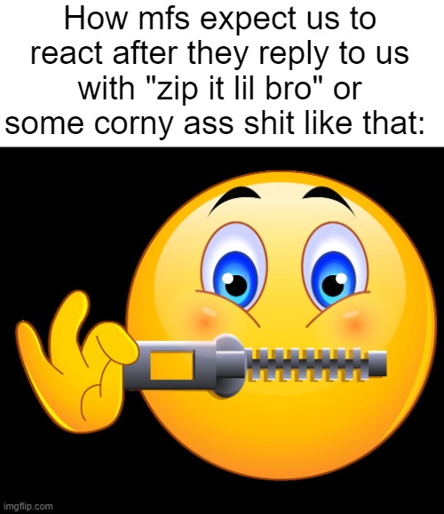 Zipped lips | How mfs expect us to react after they reply to us with "zip it lil bro" or some corny ass shit like that: | image tagged in zipped lips | made w/ Imgflip meme maker