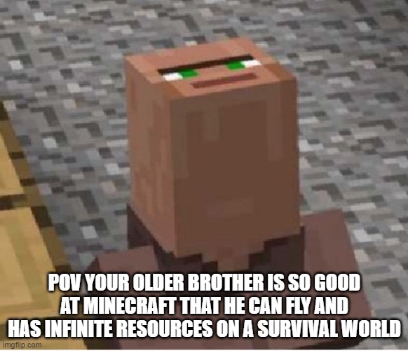 He's a professional | POV YOUR OLDER BROTHER IS SO GOOD AT MINECRAFT THAT HE CAN FLY AND HAS INFINITE RESOURCES ON A SURVIVAL WORLD | image tagged in minecraft villager looking up,minecraft,brother | made w/ Imgflip meme maker