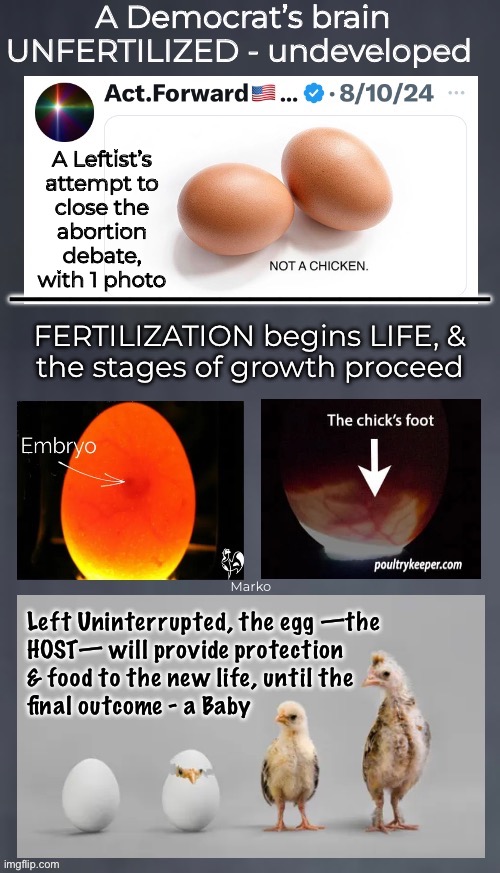 Lefty tries to close the book on abortion, with 1 photo.  3 photos right his wrong. | A Leftist’s
attempt to
close the
abortion
debate,
with 1 photo; ————————————————; Marko | image tagged in memes,baby killers gotta kill,no logic makes it ok,morals values principles,progressives leftists fjb voters kissmyass | made w/ Imgflip meme maker