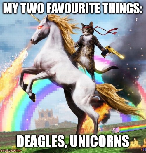 Me | MY TWO FAVOURITE THINGS:; DEAGLES, UNICORNS | image tagged in memes,welcome to the internets | made w/ Imgflip meme maker