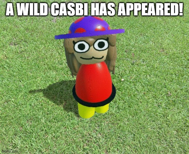 a wild casbi has appeared! | A WILD CASBI HAS APPEARED! | image tagged in dave and bambi | made w/ Imgflip meme maker