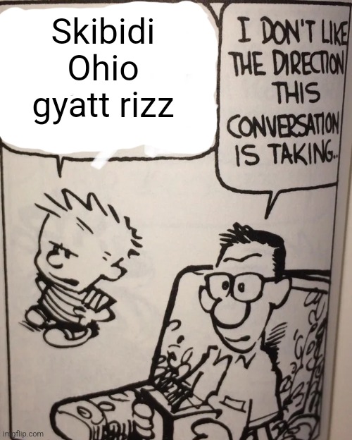 I made another one | Skibidi Ohio gyatt rizz | image tagged in i don't like the direction this conversation is taking,calvin and hobbes,skibidi,gyatt,rizz,gen alpha | made w/ Imgflip meme maker