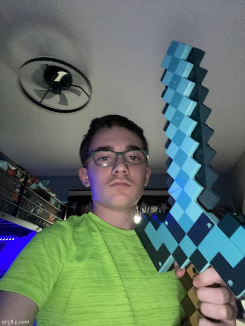 The sword | image tagged in the sword | made w/ Imgflip meme maker